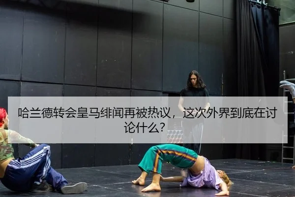 ha-lan-de-zhuan-hui-huang-ma-fei-wen-zai-bei-re-yi-zhe-ci-wai-jie-dao-di-zai-tao-lun-shen-me-2-558.jpg